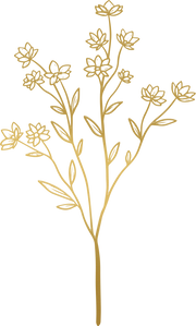 Metallic Monoline Gold Baby Cosmos
